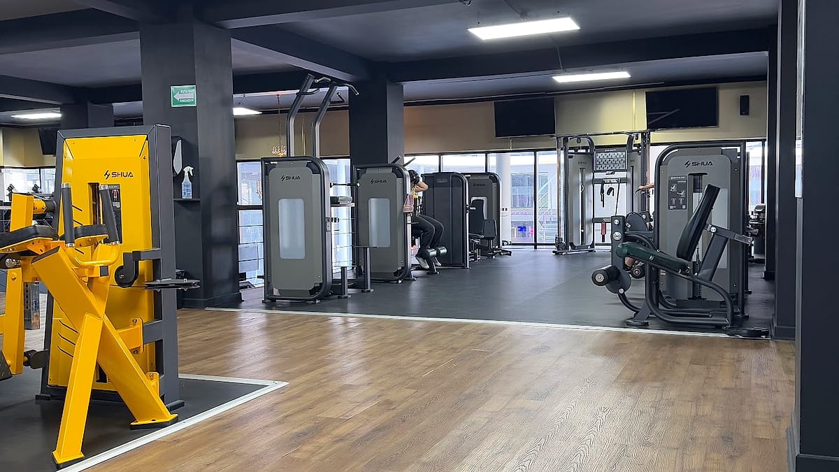Pista de pasto sintético para entrenamiento funcional